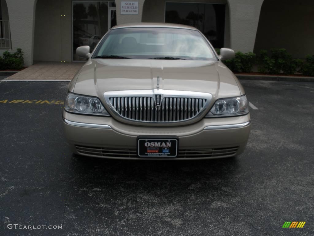 2006 Town Car Designer Series - Light French Silk Metallic / Light Camel photo #8