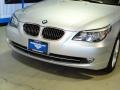 2010 Titanium Silver Metallic BMW 5 Series 528i xDrive Sedan  photo #4