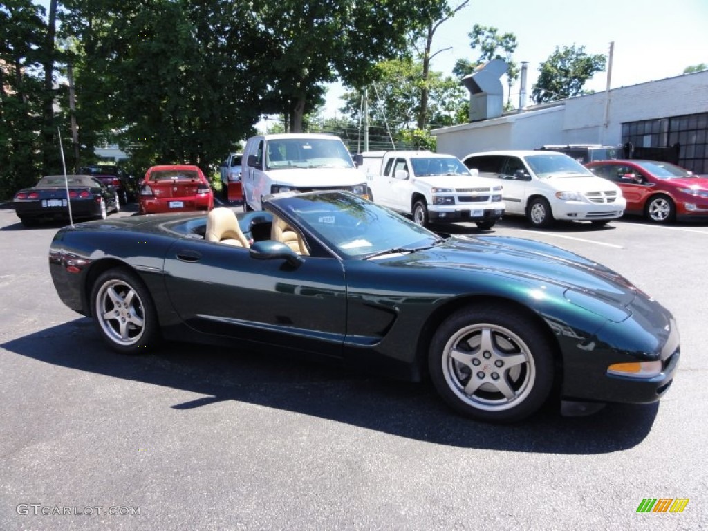 2000 Corvette Convertible - Dark Bowling Green Metallic / Light Oak photo #7