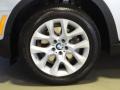 Titanium Silver Metallic - X5 xDrive35i Photo No. 33