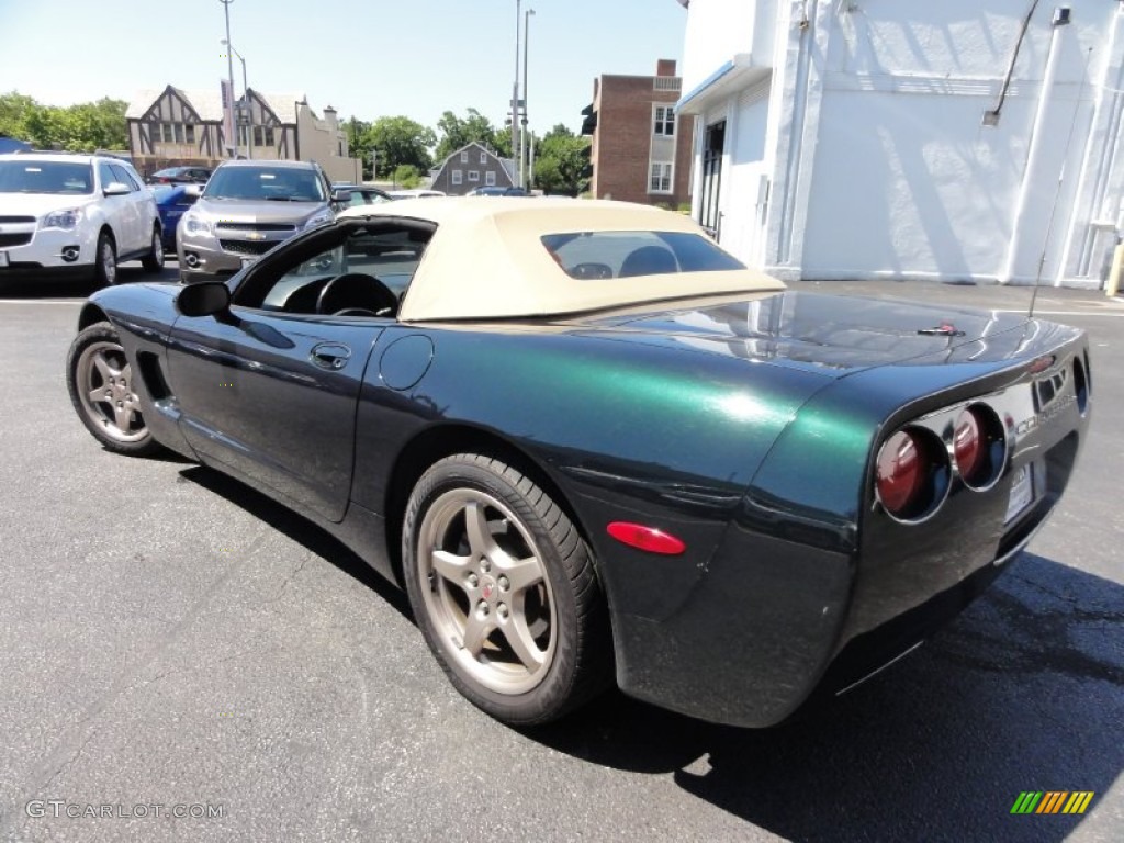 2000 Corvette Convertible - Dark Bowling Green Metallic / Light Oak photo #35