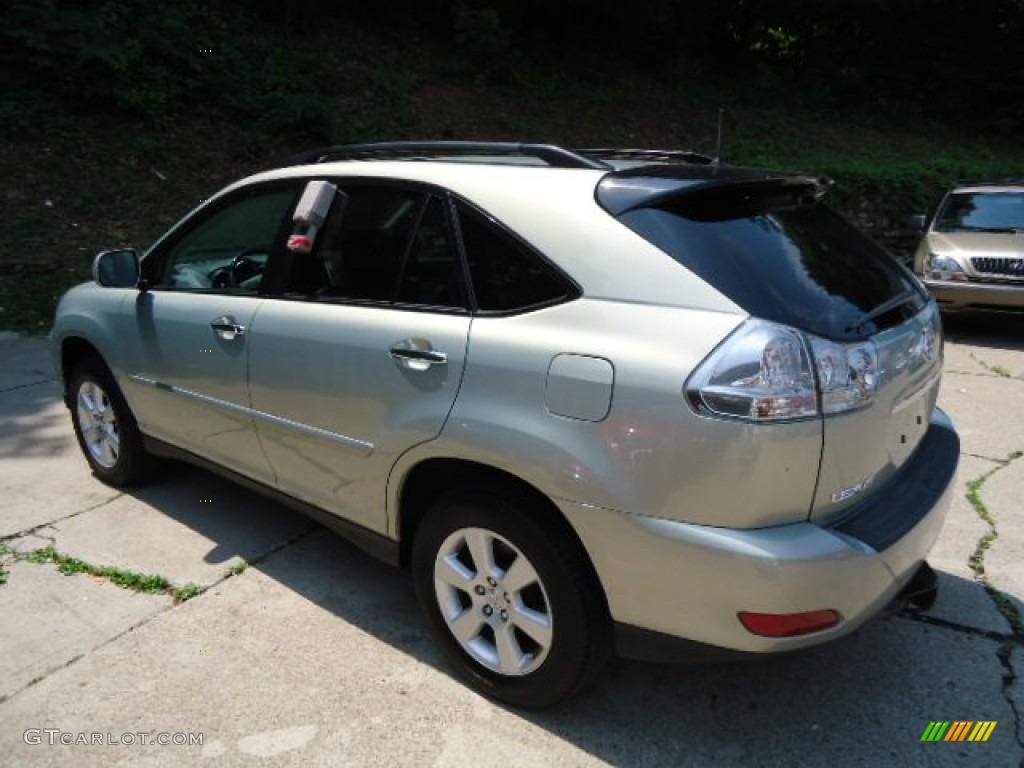 2009 RX 350 AWD - Bamboo Pearl / Light Gray photo #2