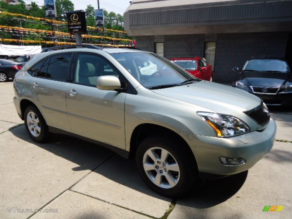 2009 RX 350 AWD - Bamboo Pearl / Light Gray photo #5