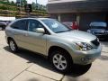 2009 Bamboo Pearl Lexus RX 350 AWD  photo #5