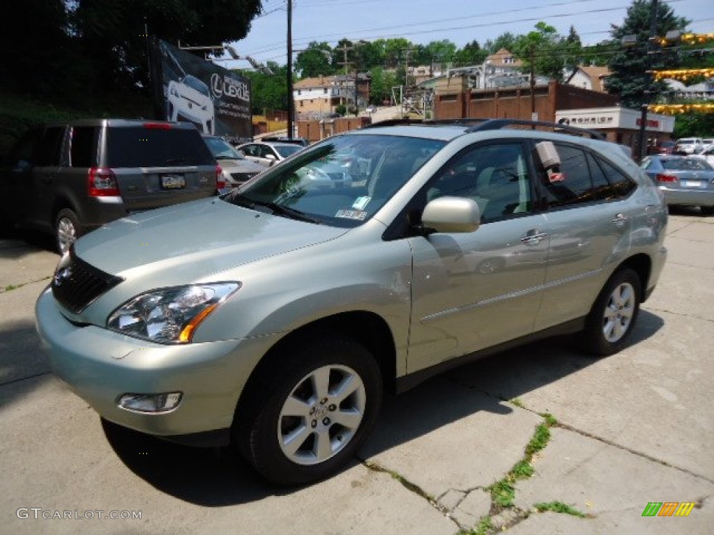 2009 RX 350 AWD - Bamboo Pearl / Light Gray photo #7