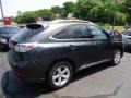 2010 Smokey Granite Mica Lexus RX 450h AWD Hybrid  photo #4