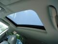 2010 Smokey Granite Mica Lexus RX 450h AWD Hybrid  photo #15