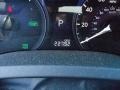 2010 Smokey Granite Mica Lexus RX 450h AWD Hybrid  photo #20
