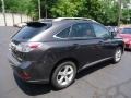 2010 Truffle Brown Mica Lexus RX 350 AWD  photo #4