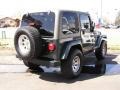Shale Green Metallic - Wrangler Sahara 4x4 Photo No. 4