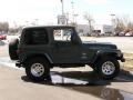 Shale Green Metallic - Wrangler Sahara 4x4 Photo No. 5