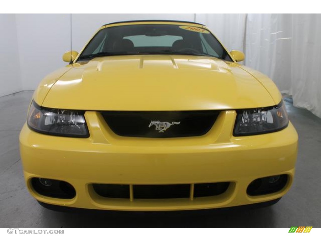 2003 Mustang Cobra Convertible - Zinc Yellow / Dark Charcoal/Medium Graphite photo #3