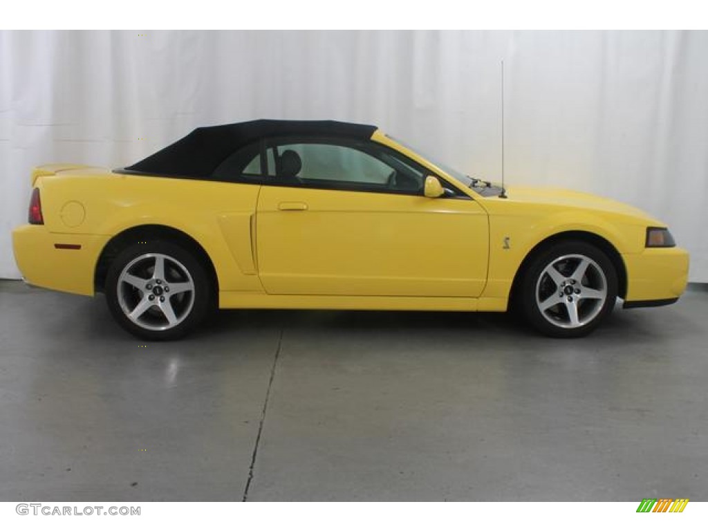 2003 Mustang Cobra Convertible - Zinc Yellow / Dark Charcoal/Medium Graphite photo #6