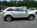 Gold Leaf Metallic 2010 Lincoln MKX AWD Exterior