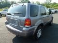 2007 Tungsten Grey Metallic Ford Escape Limited 4WD  photo #2