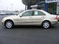 Desert Silver Metallic - C 320 Sedan Photo No. 23