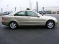Desert Silver Metallic - C 320 Sedan Photo No. 25
