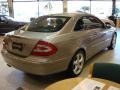 Pewter Metallic - CLK 320 Coupe Photo No. 6