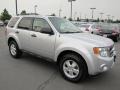 2010 Ingot Silver Metallic Ford Escape XLS 4WD  photo #1