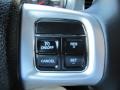 Black/Mopar Blue Controls Photo for 2011 Dodge Charger #67710138