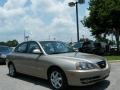 2006 Champagne Beige Hyundai Elantra GLS Sedan  photo #14