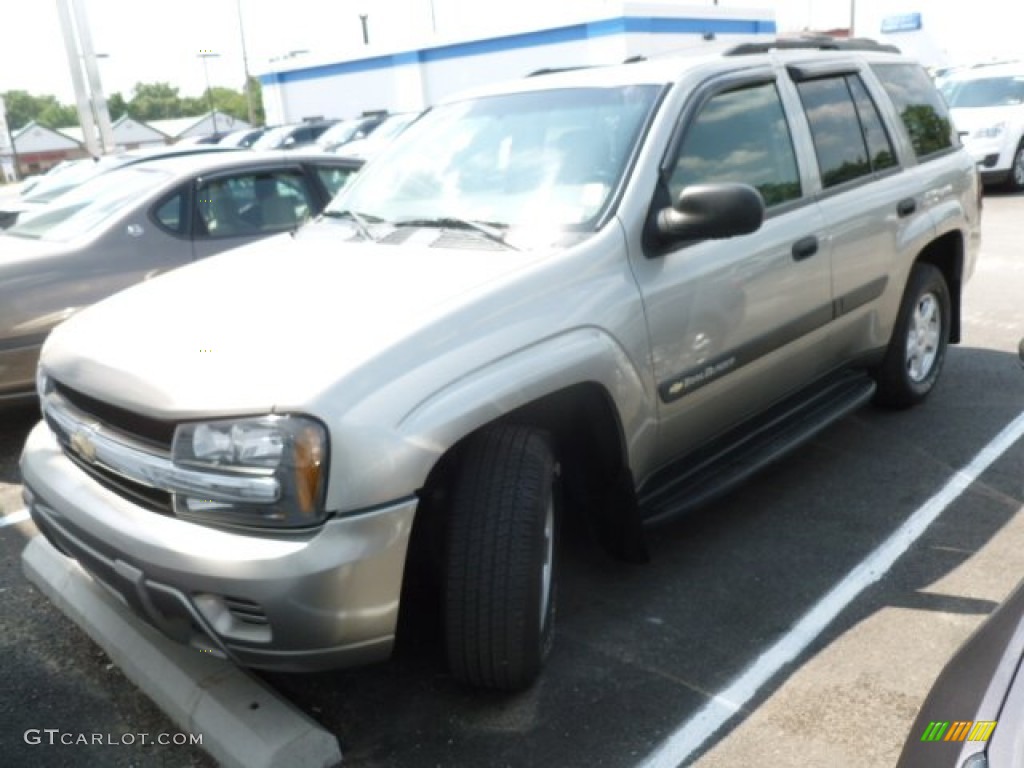 2003 TrailBlazer LS 4x4 - Light Pewter Metallic / Medium Pewter photo #1