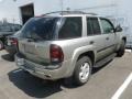 2003 Light Pewter Metallic Chevrolet TrailBlazer LS 4x4  photo #3