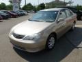 Desert Sand Mica - Camry LE Photo No. 3