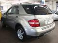 Pewter Metallic - ML 350 4Matic Photo No. 6
