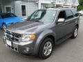 2010 Sterling Grey Metallic Ford Escape Limited V6 4WD  photo #3