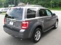 2010 Sterling Grey Metallic Ford Escape Limited V6 4WD  photo #7