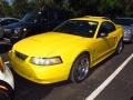 2004 Screaming Yellow Ford Mustang V6 Coupe  photo #4