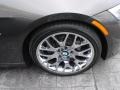 2010 BMW 3 Series 328i Coupe Wheel and Tire Photo