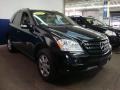 Black - ML 350 4Matic Photo No. 8