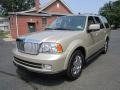 Light French Silk Metallic - Navigator Luxury 4x4 Photo No. 2