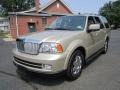 2005 Light French Silk Metallic Lincoln Navigator Luxury 4x4  photo #2