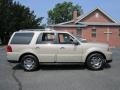 Light French Silk Metallic - Navigator Luxury 4x4 Photo No. 9