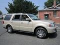 2005 Light French Silk Metallic Lincoln Navigator Luxury 4x4  photo #10