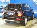 Black - ML 350 4Matic Photo No. 7