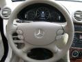 Capri Blue Metallic - CLK 350 Coupe Photo No. 12