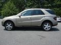 Sand Beige Metallic - ML 350 4Matic Photo No. 6