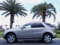Pewter Metallic - ML 350 Photo No. 1