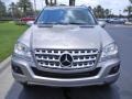 Pewter Metallic - ML 350 Photo No. 3
