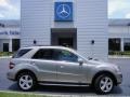 Pewter Metallic - ML 350 Photo No. 5