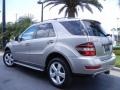Pewter Metallic - ML 350 Photo No. 8