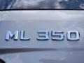 Pewter Metallic - ML 350 Photo No. 9