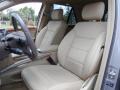 Pewter Metallic - ML 350 Photo No. 12