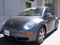 Platinum Grey - New Beetle 2.5 Convertible Photo No. 2
