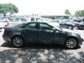 Thunder Gray Chromaflair - CTS Sedan Photo No. 3