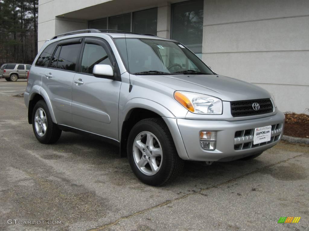 2002 RAV4 4WD - Titanium Metallic / Gray photo #1